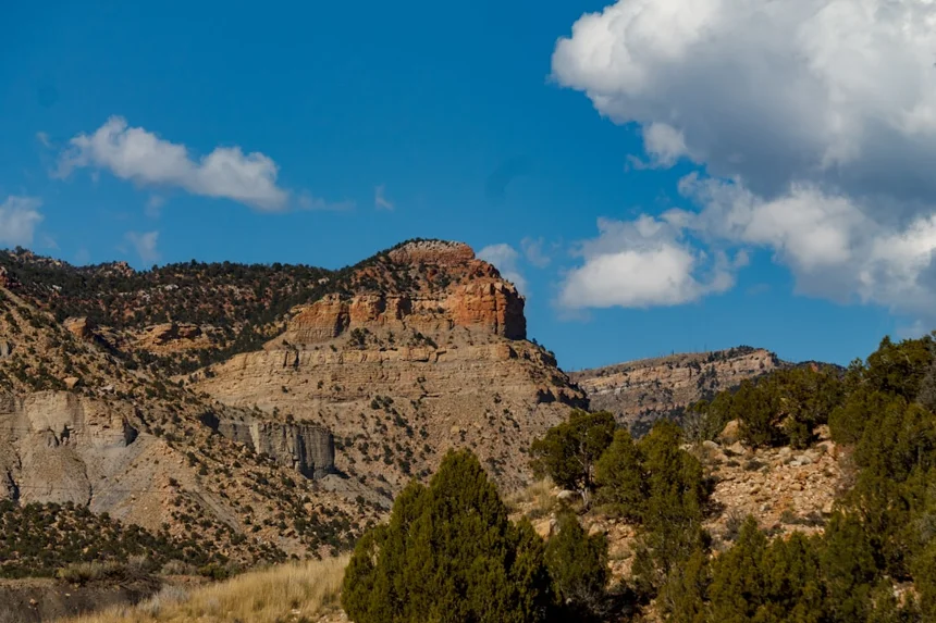 호텔 가격전략 자주묻는질문 해부하기